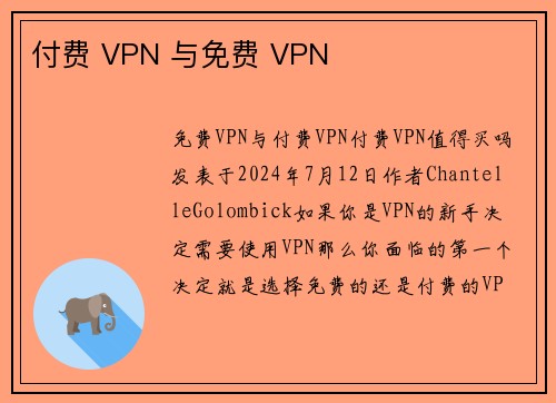 付费 VPN 与免费 VPN