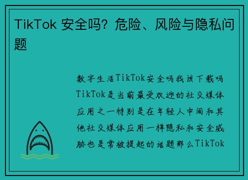 TikTok 安全吗？危险、风险与隐私问题