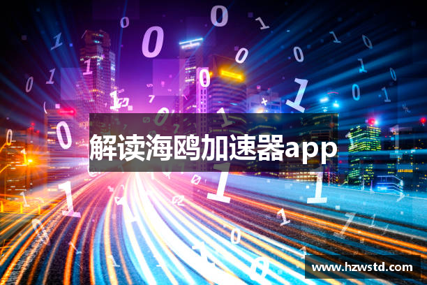 解读海鸥加速器app