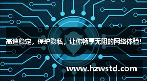 高速稳定，保护隐私，让你畅享无阻的网络体验！